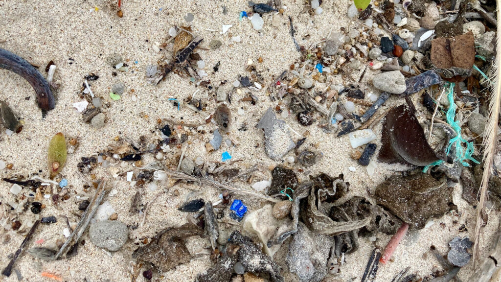 Blau auf weißem Sand: Mikroplastik in der Tortuga Bay 